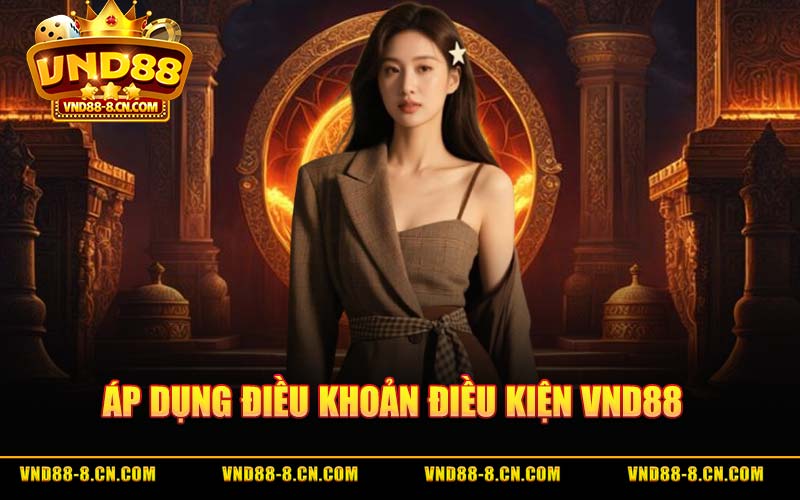 Áp Dụng Điều Khoản Điều Kiện VND88