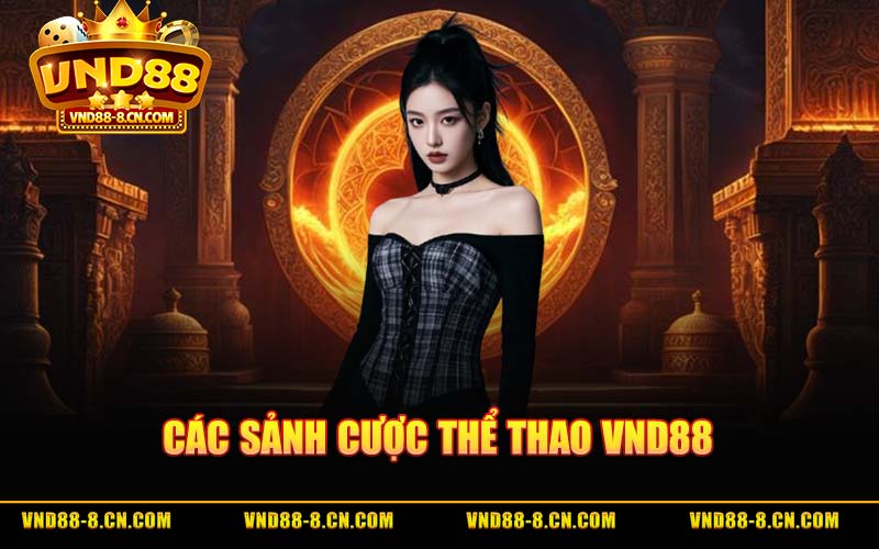 Các Sảnh Cược Thể Thao VND88