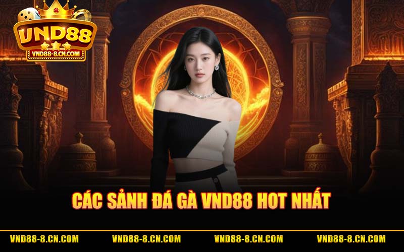 Các Sảnh Đá Gà VND88 Hot Nhất
