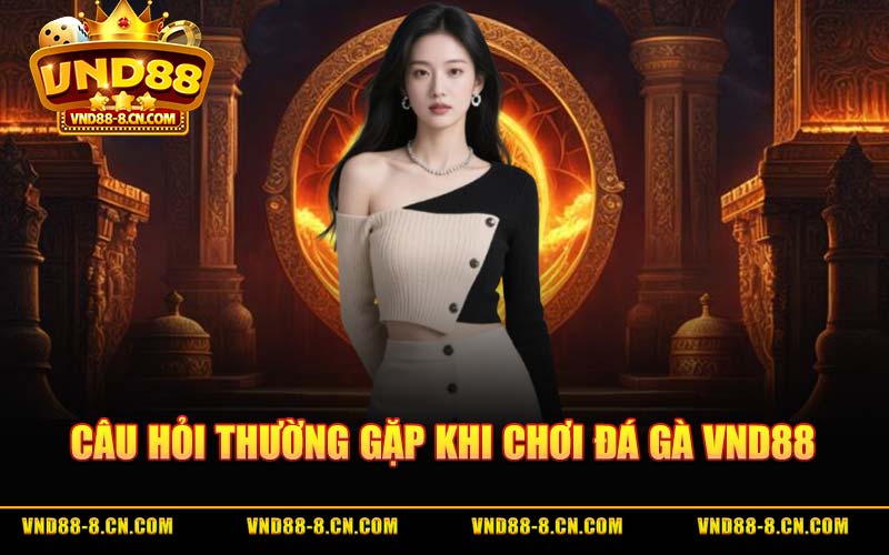 Câu Hỏi Thường Gặp Khi Chơi Đá Gà VND88