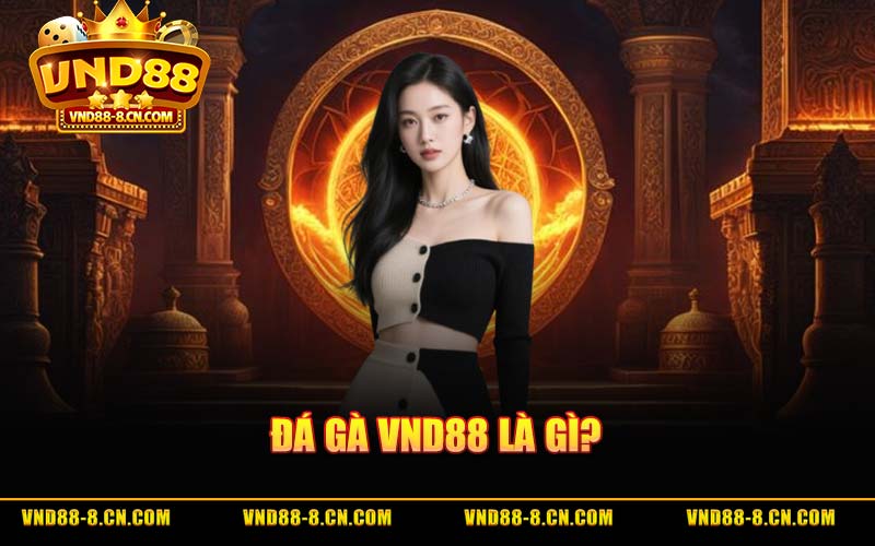 Đá Gà VND88 Là Gì?