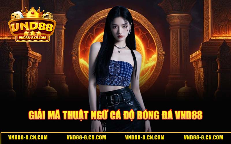Giải Mã Thuật Ngữ Cá Độ Bóng Đá VND88