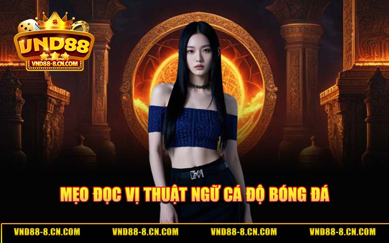 Mẹo Đọc Vị Thuật Ngữ Cá Độ Bóng Đá