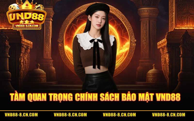 Tầm Quan Trọng Chính Sách Bảo Mật VND88