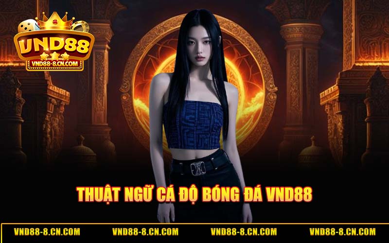 Thuật Ngữ Cá Độ Bóng Đá VND88 - Quản Lý Vốn Chuẩn Chuyên Gia 2026